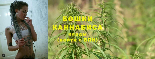 амф Верея