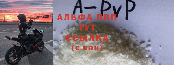 амф Верея