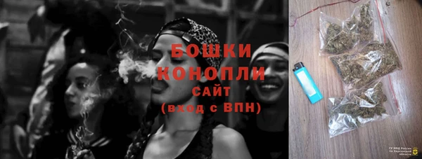 твердый Володарск
