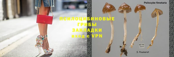 крисы Волосово