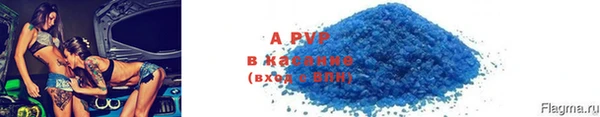 амф Верея