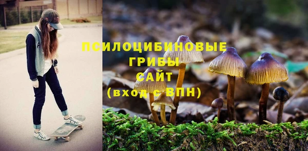 крисы Волосово