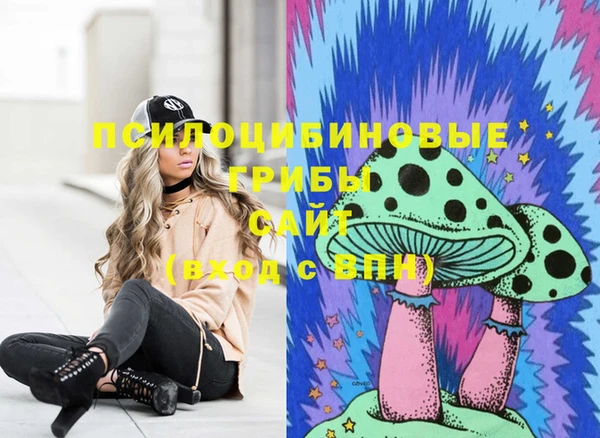 СК Верхний Тагил
