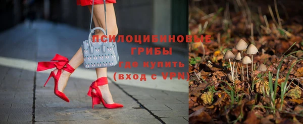 амф Верея