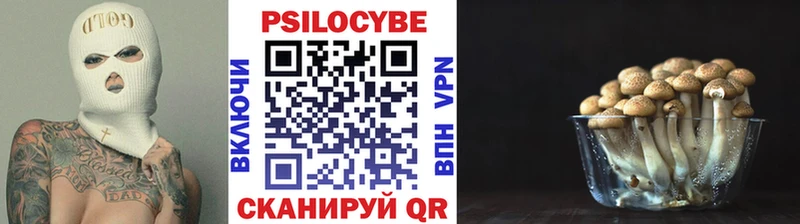 ссылка на мегу   Дюртюли  Псилоцибиновые грибы прущие грибы 